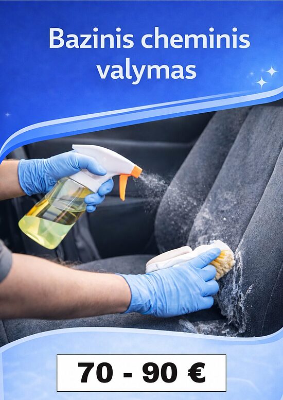 Bazinis cheminis salono valymas